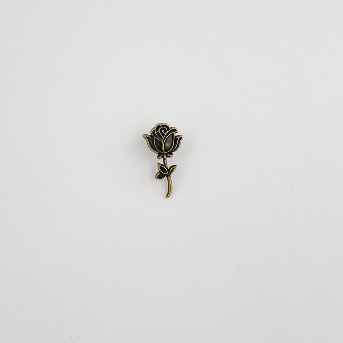 botanica-228050.jpg